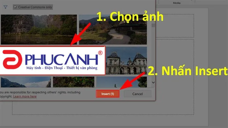 Chọn một hoặc nhiều ảnh từ kết quả tìm kiếm online