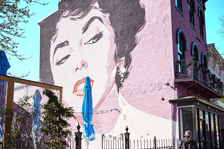 Bức tranh tường khổng lồ chân dung Elizabeth Taylor tại Vườn Bia Dacha ở Shaw