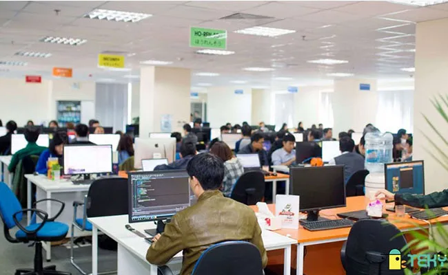 Lập trình viên chuyên nghiệp đang làm việc