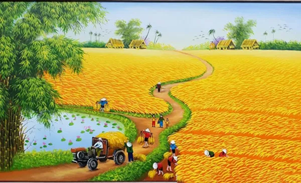 Cánh đồng lúa chín vàng rực rỡ dưới ánh nắng