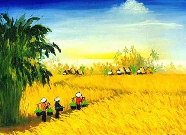 Người nông dân gặt lúa trên cánh đồng quê