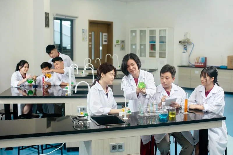 Cây cối xanh tươi tượng trưng cho sự phát triển nhờ định hướng đúng đắn