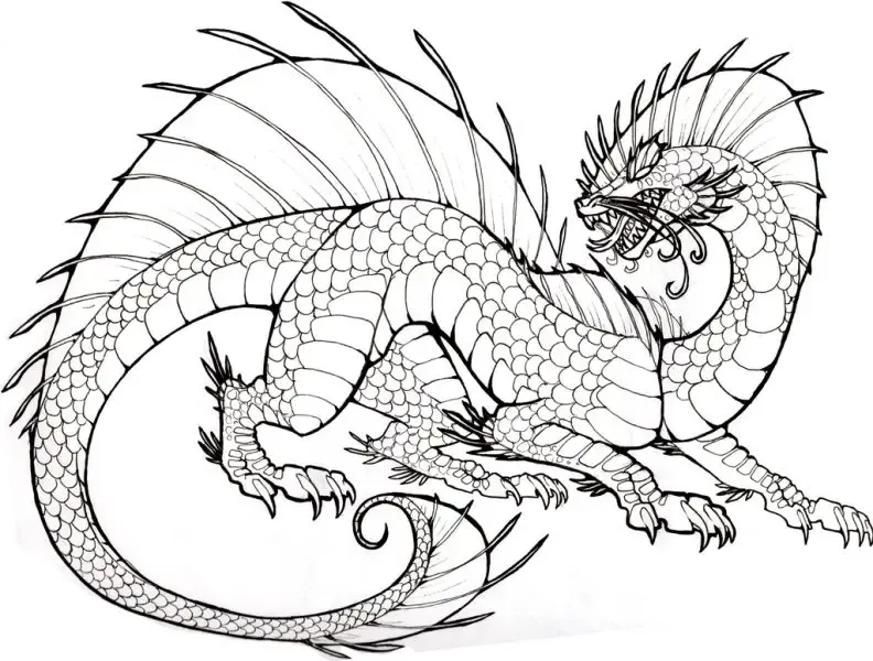 Bức tranh phác thảo con rồng dễ thương đang ngồi nghịch ngợm