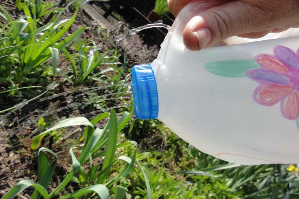 Tái chế bình nước 1.5 lít thành bình tưới nước tiện dụng.