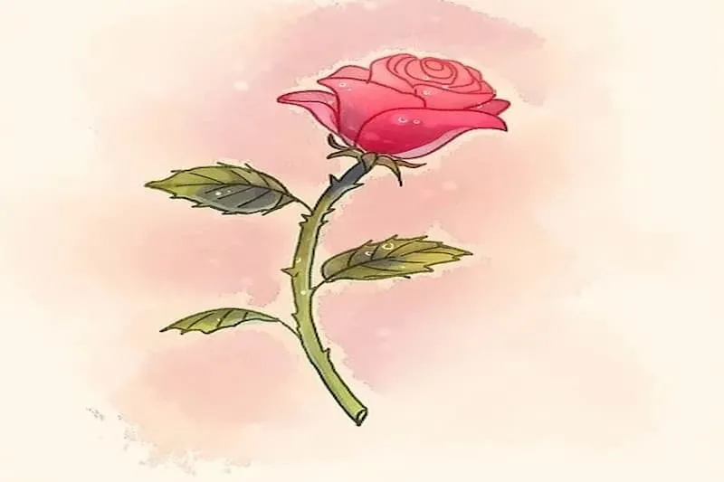 Bước 7: Tô màu hoàn thiện bức tranh vẽ hoa hồng nghiêng