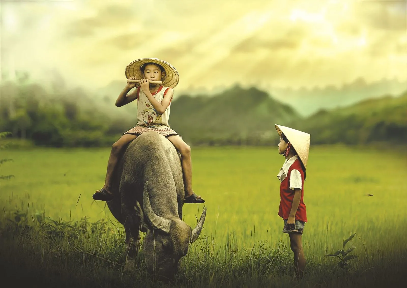 Một góc khác của tranh Chăn Trâu, nhấn mạnh hình ảnh chú bé và trâu