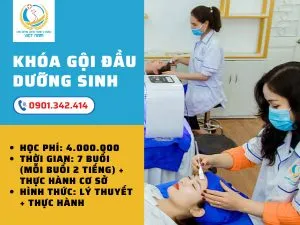 hoc goi dau duong sinh
