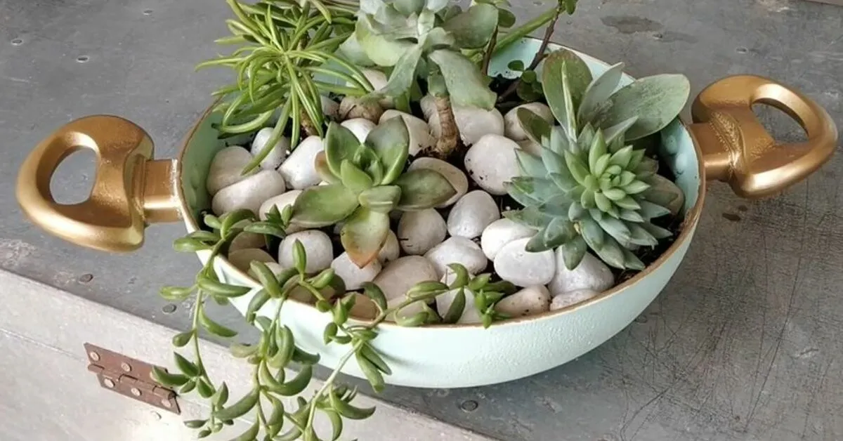 Một chiếc chảo tận dụng để trồng sen đá ấn tượng.