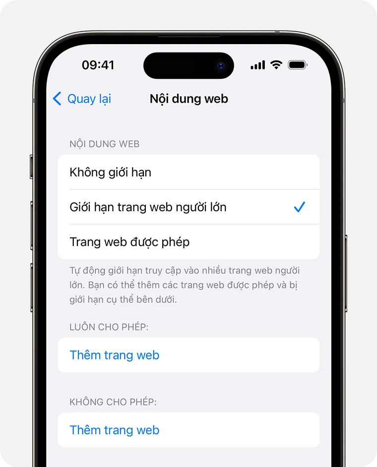 Cài đặt Nội dung web trong Giới hạn nội dung trên iPhone