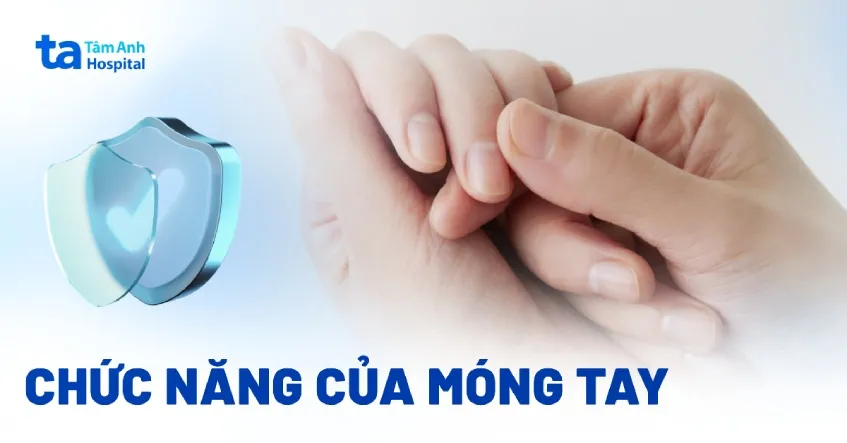 móng tay