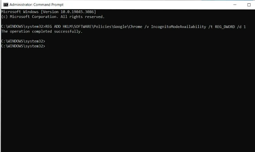 Nhập lệnh để vô hiệu hóa chế độ ẩn danh trong Command Prompt