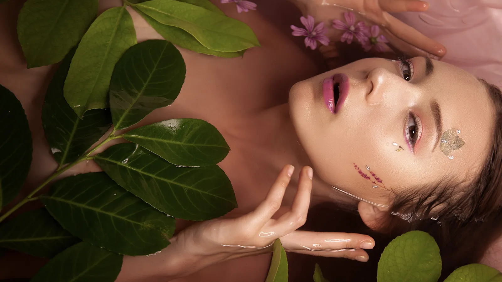 Hình minh họa cành cây và tán lá với quả