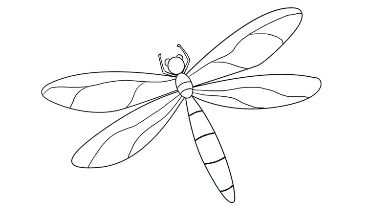 Hướng dẫn vẽ chuồn chuồn cách điệu