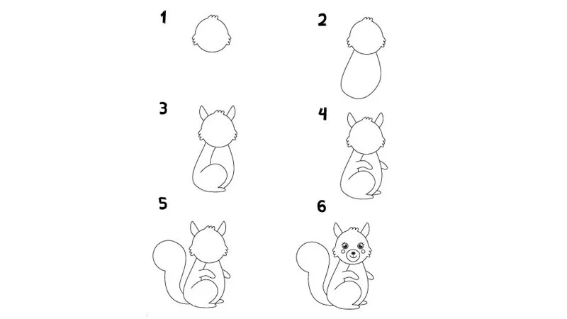 Hướng dẫn vẽ chú sóc cute đơn giản